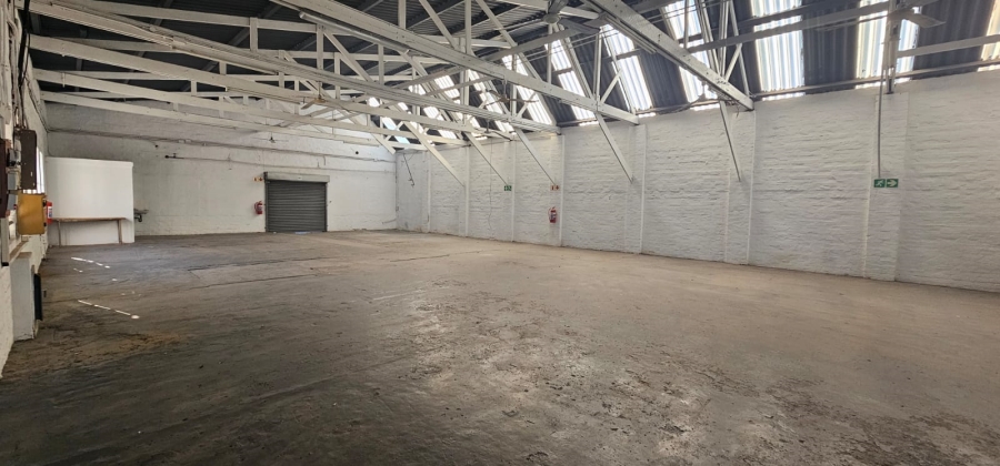 To Let commercial Property for Rent in Arcadia Eastern Cape
